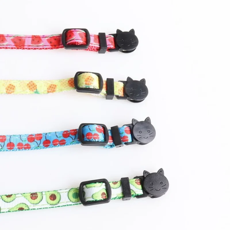 safety buckle and ladder lock