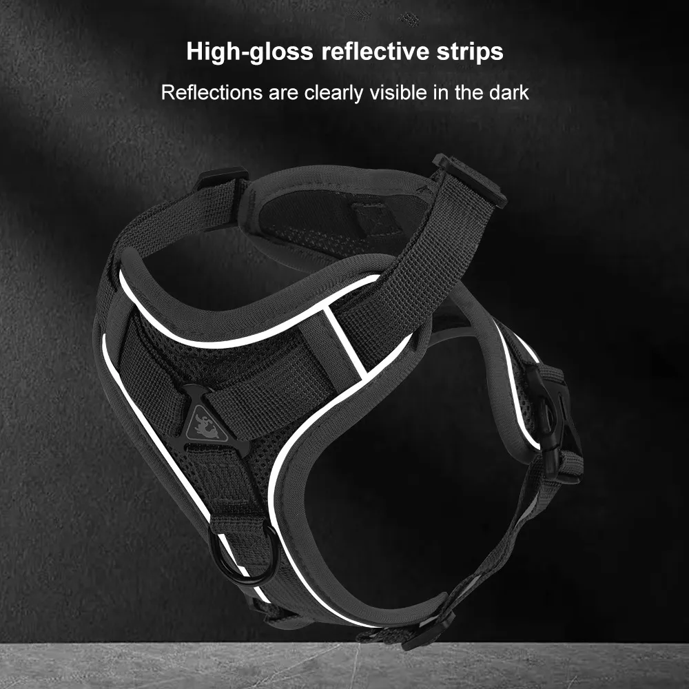 high-gloss reflective strips reflections are clearly visible in the dark