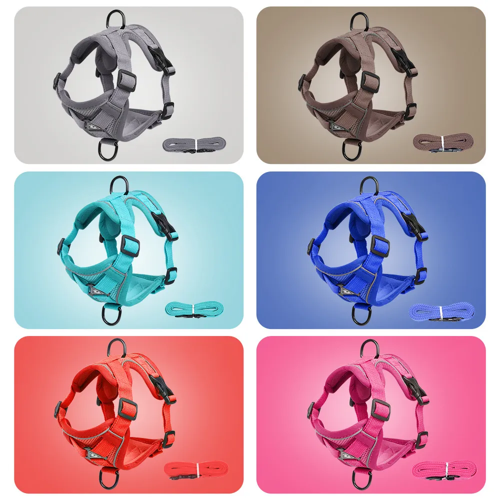 color options