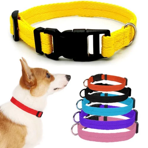 Basic Nylon Dog Collar Cute Colors Adjustable Collar