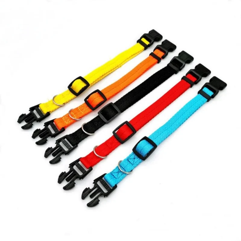 Basic Nylon Dog Collar Cute Colors Adjustable Collar