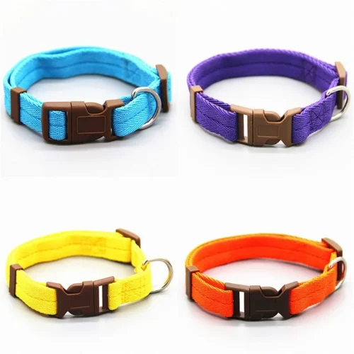 color options blue purple yellow orange