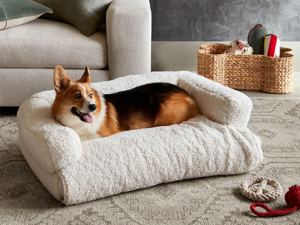 Sustainable Dog Beds: The Ultimate Guide