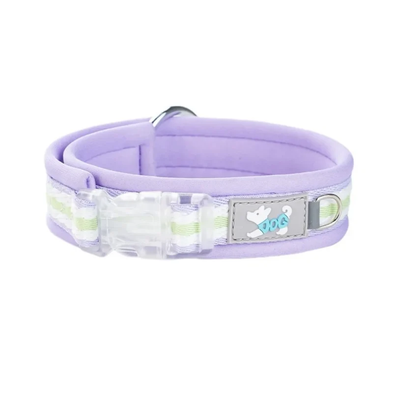 purple color