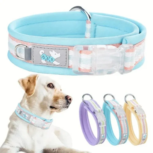 Jacquard Personalized Dog Collar Custom Rubber Tag Padded Collar