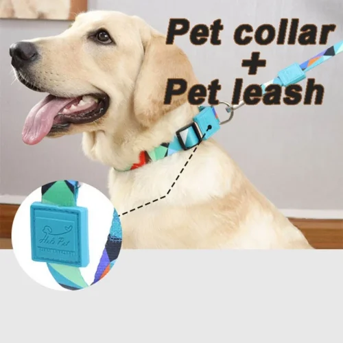 Adjustable Dog Collar with Custom Patterns Pet Collar Leash Set