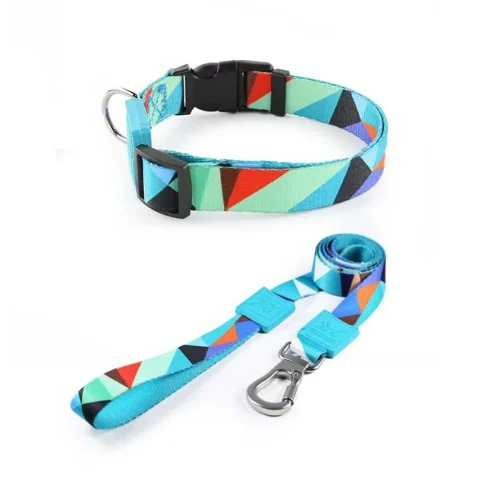 Adjustable Dog Collar with Custom Patterns Pet Collar Leash Set