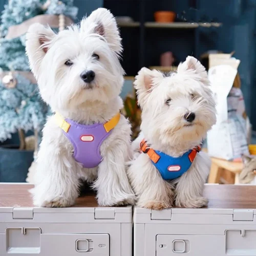 handfree dog outdoor adjustable vest leash chest harness set