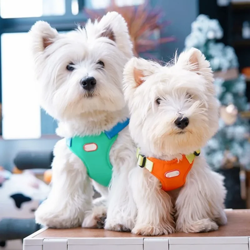 handfree dog outdoor adjustable vest leash chest harness set