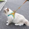 Reflective Strip Kitten Vest Harness Escape Proof Leash Set