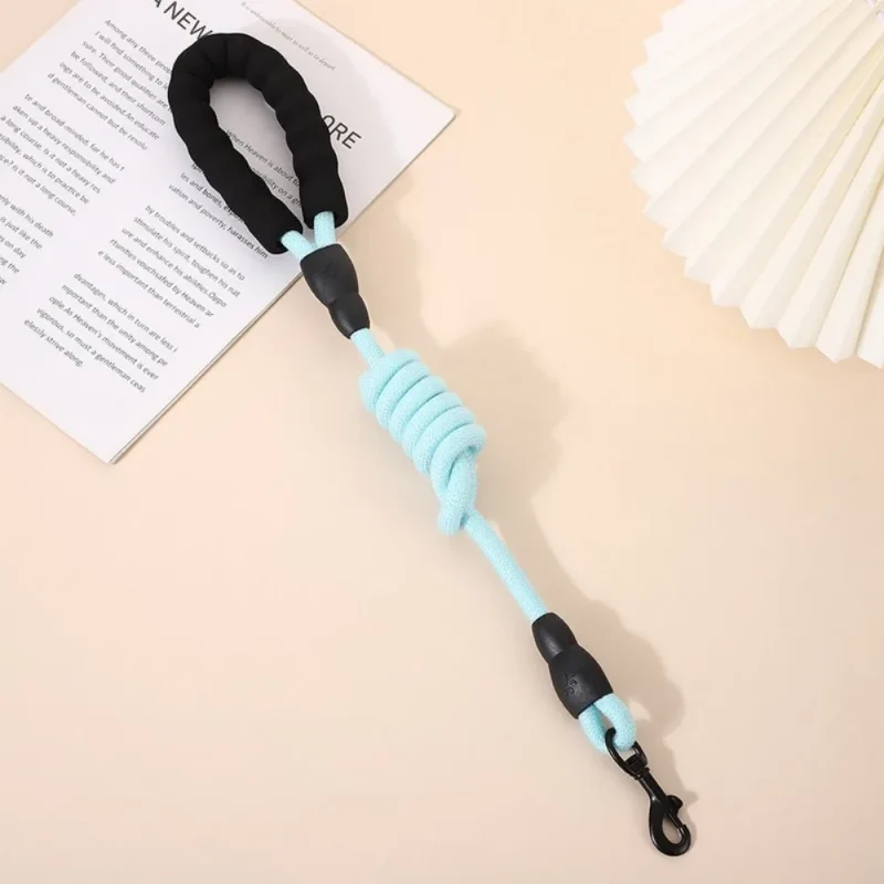 pet round rope dog leash for training and walking blue color
