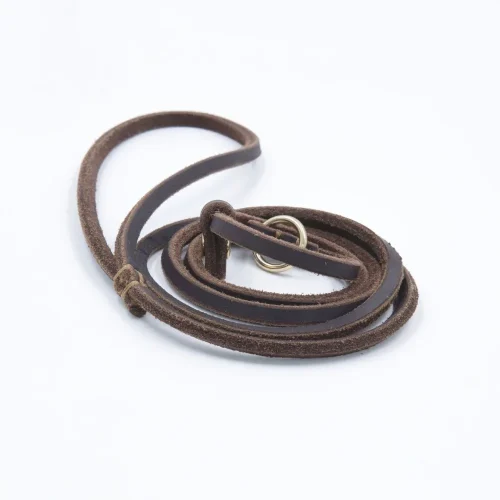leather dog leash slip lead thin adjustable collar brown color
