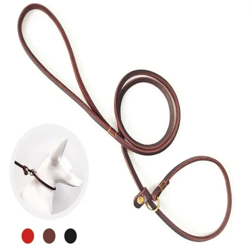leather dog leash slip lead thin adjustable collar