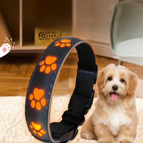 LED dog safety collar usb chargable cute pattern