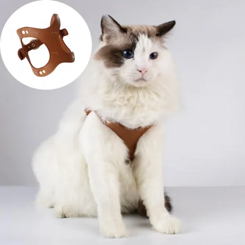 cat leather harness and leash set