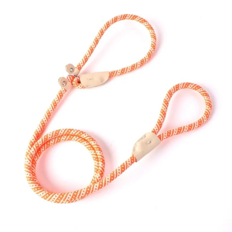 no pull pet training leash strong rope orange color