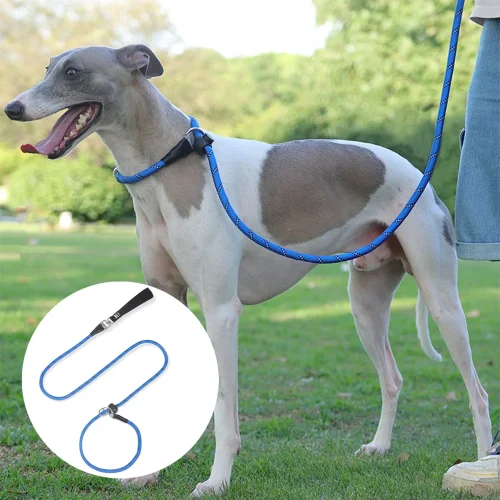 High-Density Nylon Ajustable Outdoor Multi-Coloured Reflective Dog Leash