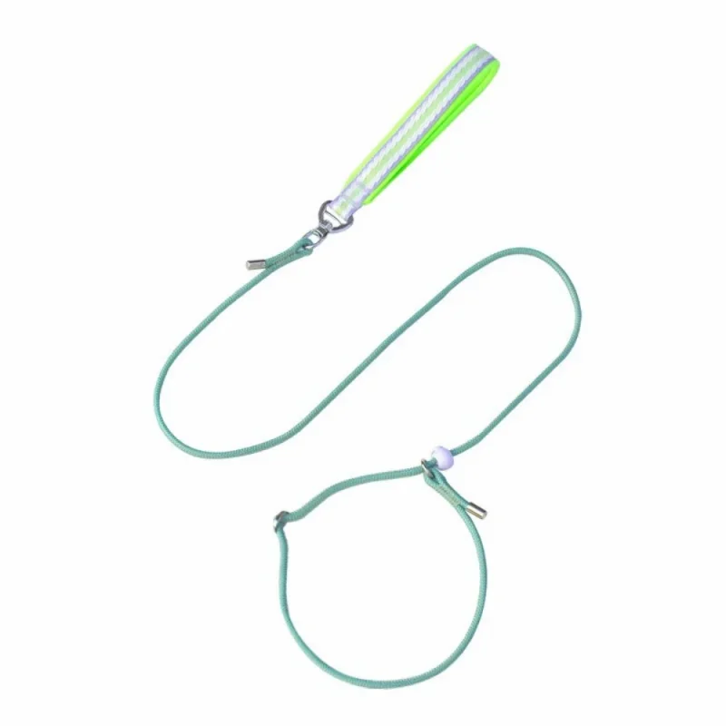 slip lead dog leash with metal stopper green color