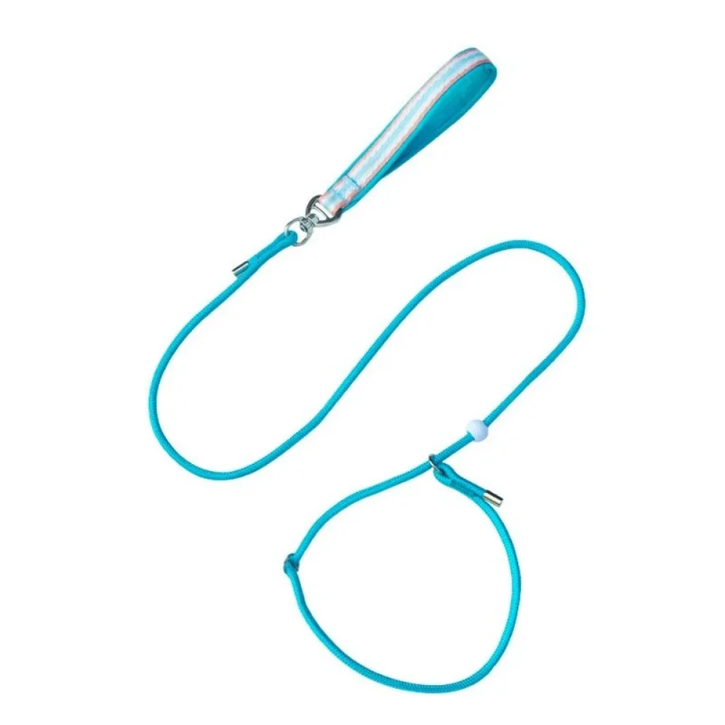 slip lead dog leash with metal stopper blue color