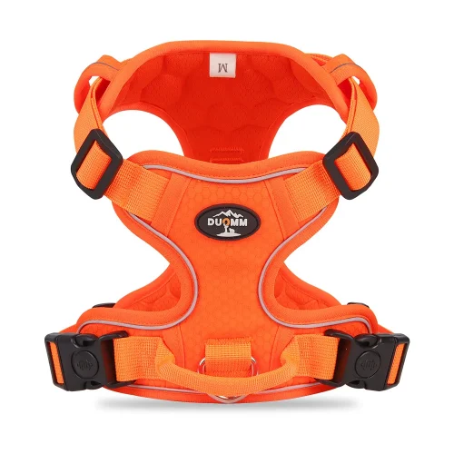 orange color