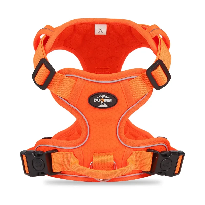 orange color