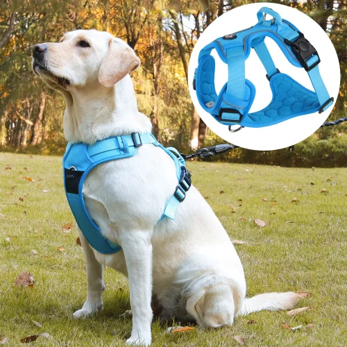 Manufacturer Custom Large and Medium-sized Dog Chest Harness