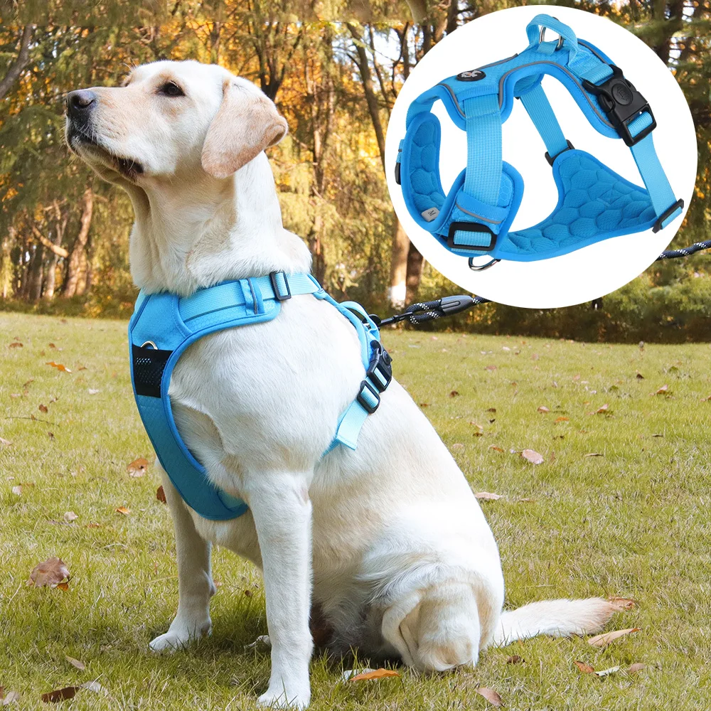 Manufacturer Custom Large and Medium-sized Dog Chest Harness