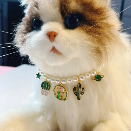 Cat model display