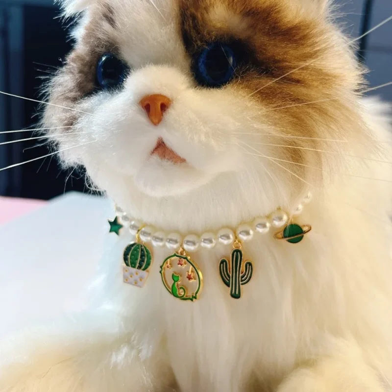 Cat model display