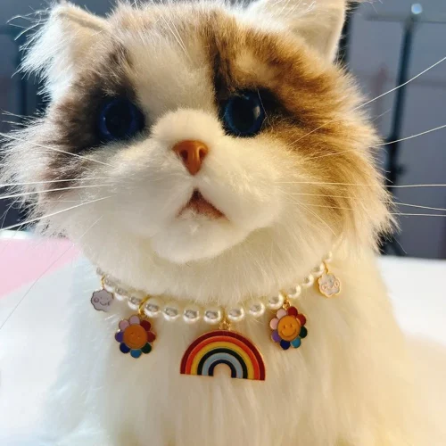 cat model display