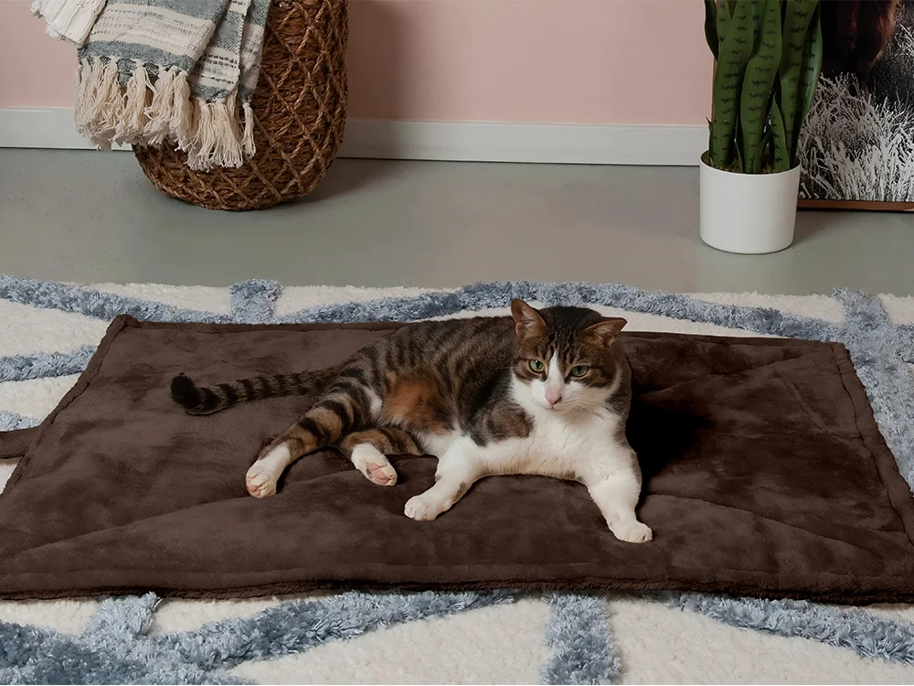 The ultimate guide to pet mats: Choosing the perfect comfort for your furry friend!