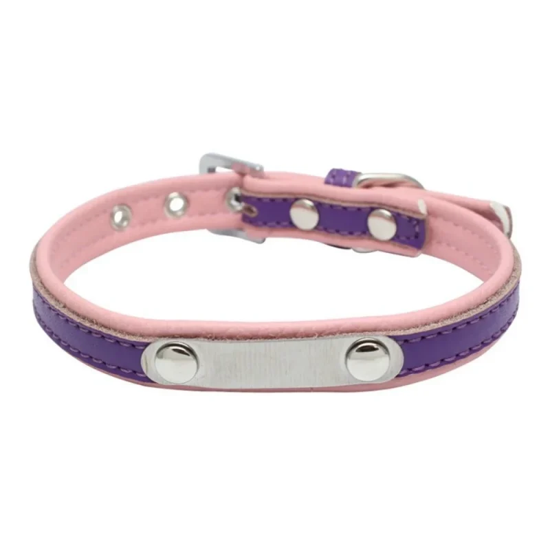 purple color