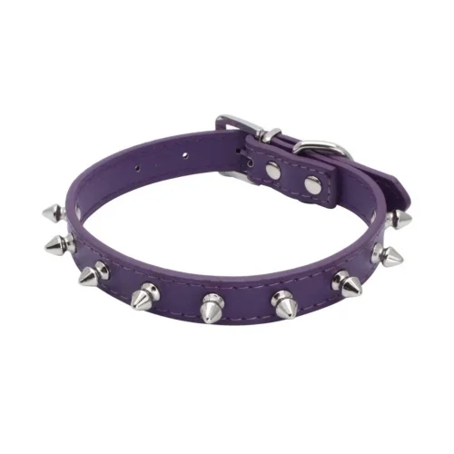 purple color