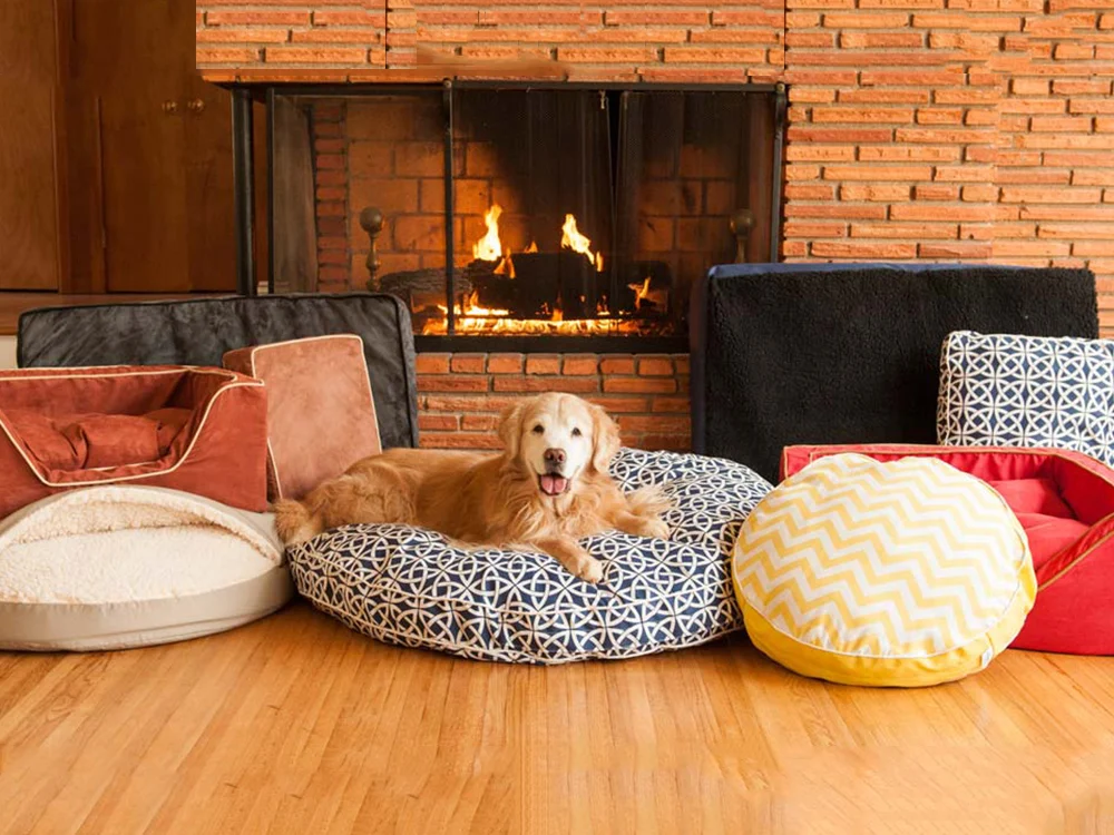 Our Favorite Sustainable Dog Beds