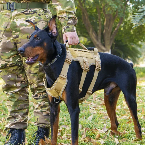 adjustable tactical large pet harness vest wear on dog